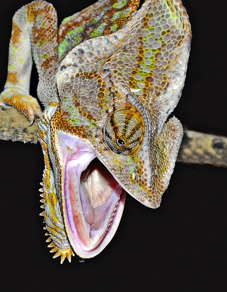 Демонстрация угрозы