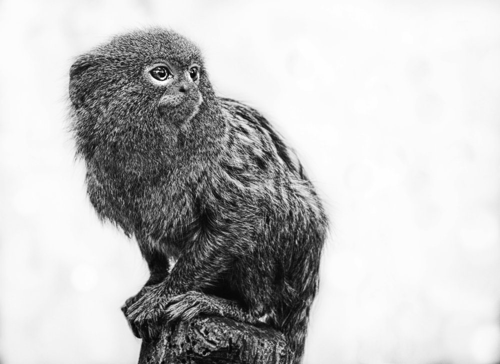 Photograph by Teodora Sarbinska