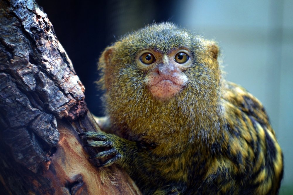 Photograph by Teodora Sarbinska