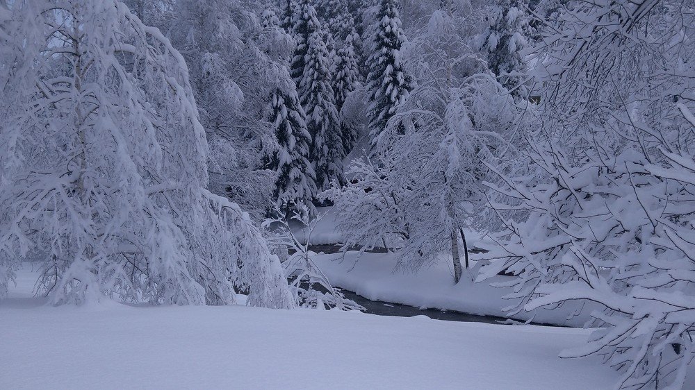 Зимняя сказка