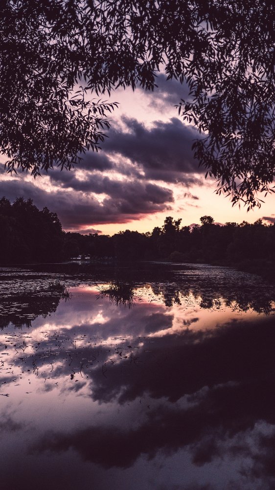 Photograph by Анна Дубровина