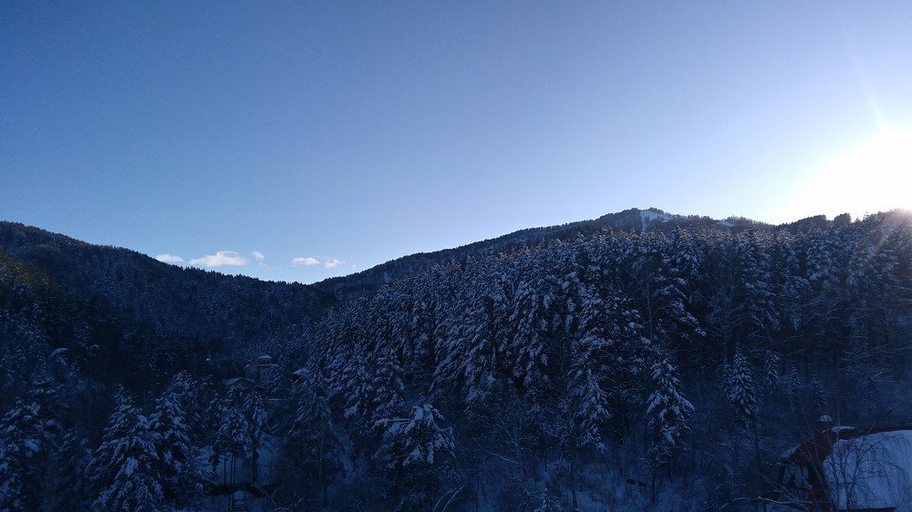 Непроходимая тайга