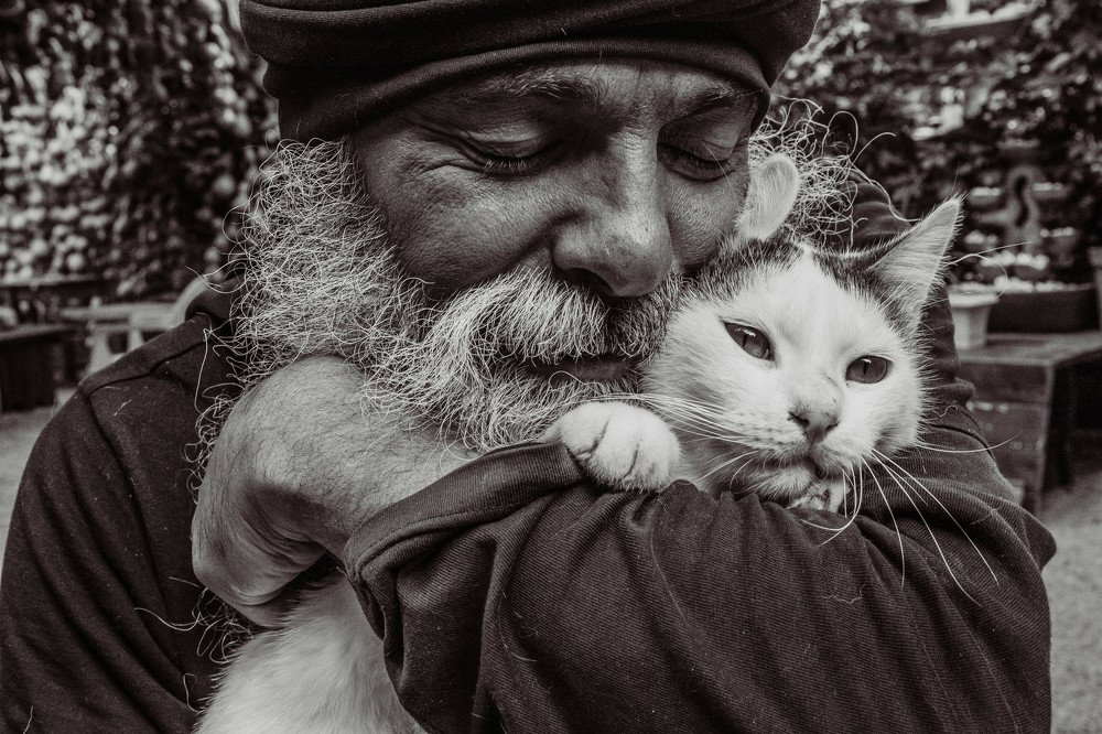 Photograph by Наталья Крысь