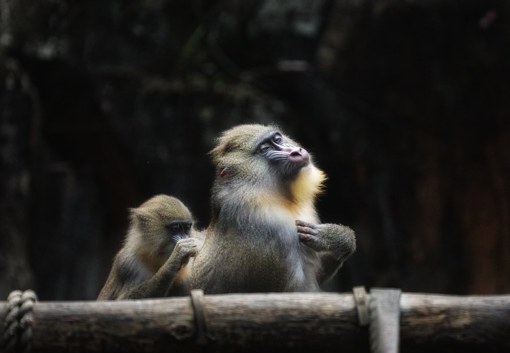 Photograph by Jim Sabordo