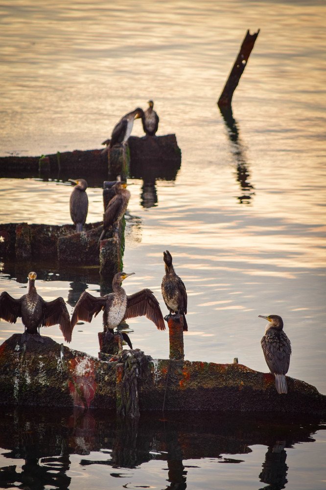 Photograph by Emil Karameti