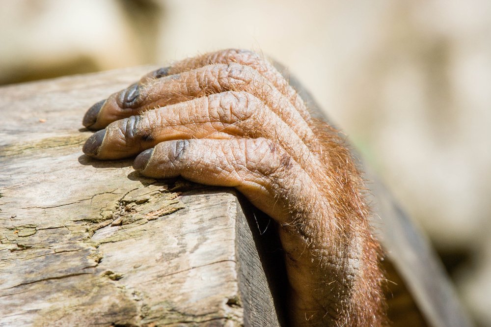 Photograph by Radoslav Strestik