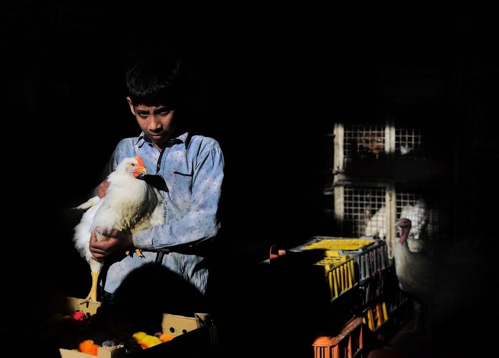 Photograph by Bahram Bayat