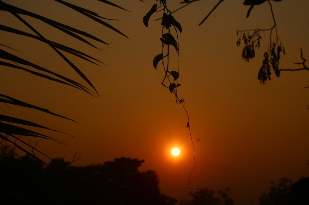 Photograph by Jayanta Chakravorty