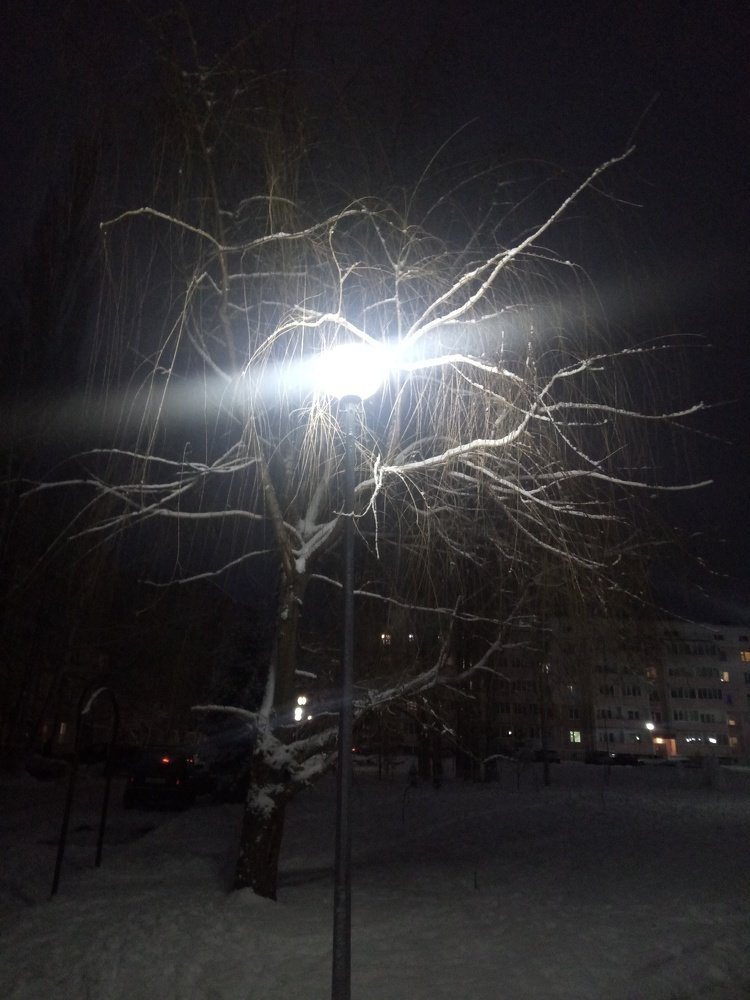 Photo #4118414