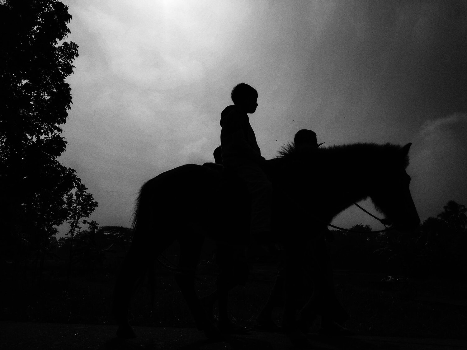 Photo #4118510
