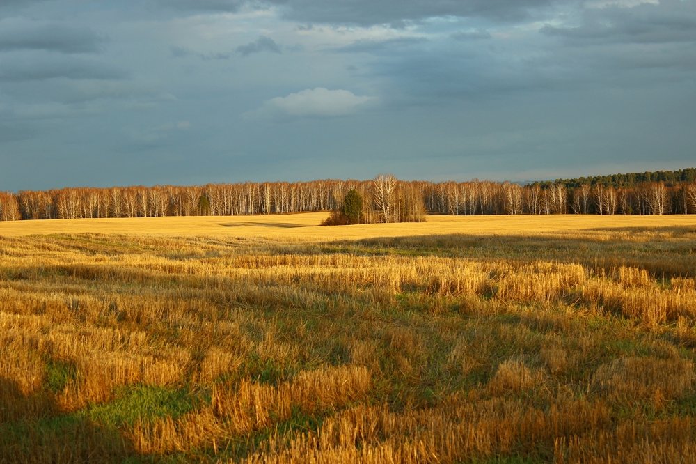 Осенний пейзаж