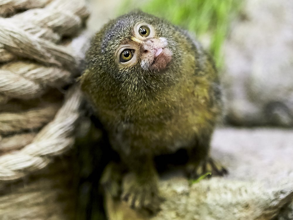 Photograph by Елена Мормоль