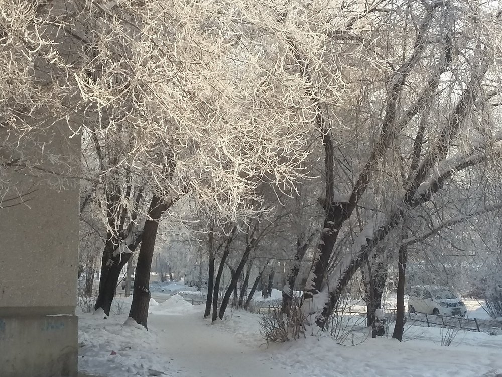 Photograph by Светлана Хоботова