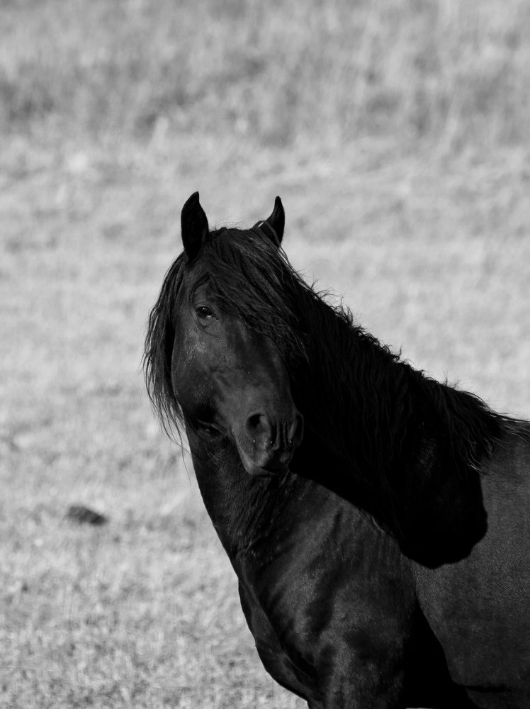 Photograph by BORIS KURTUKOV