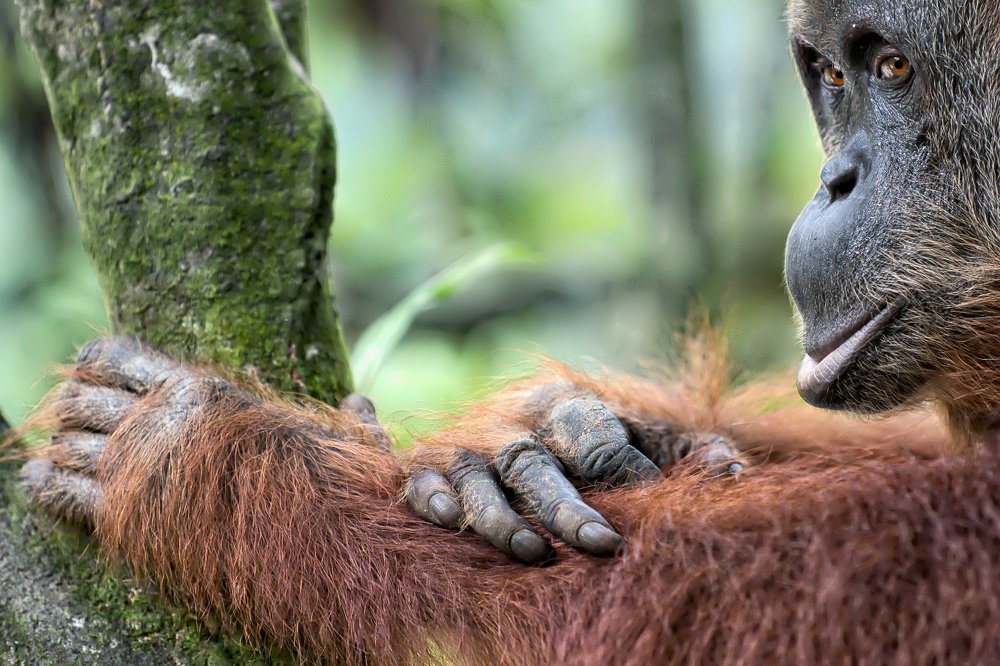 Photograph by Giovanni