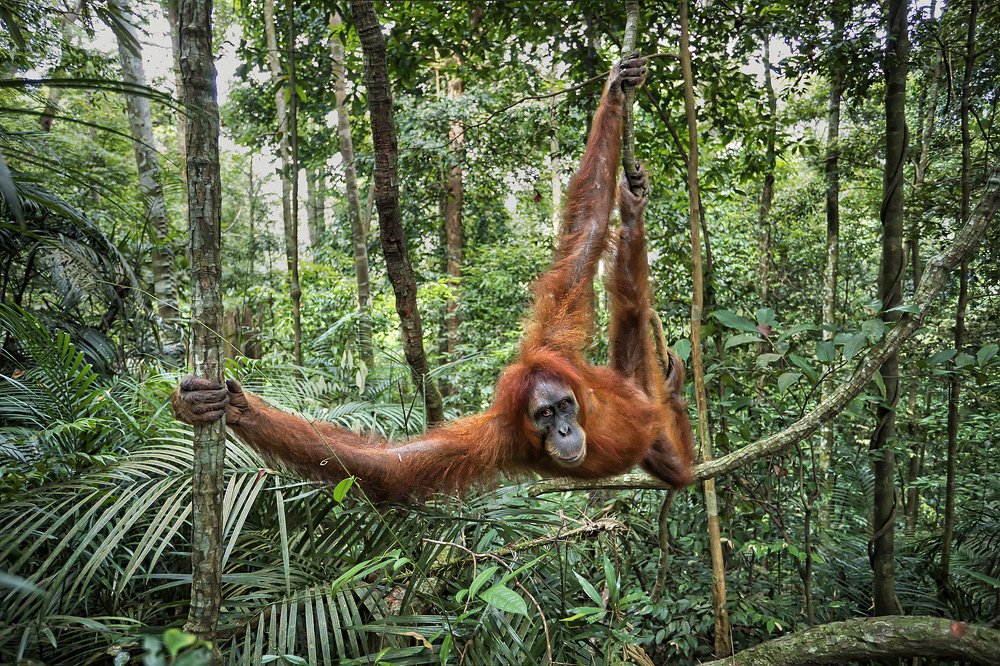 Photograph by Giovanni