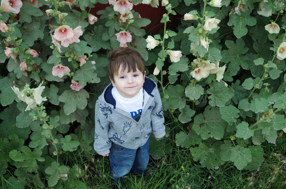 Photograph by Галина Григорьева