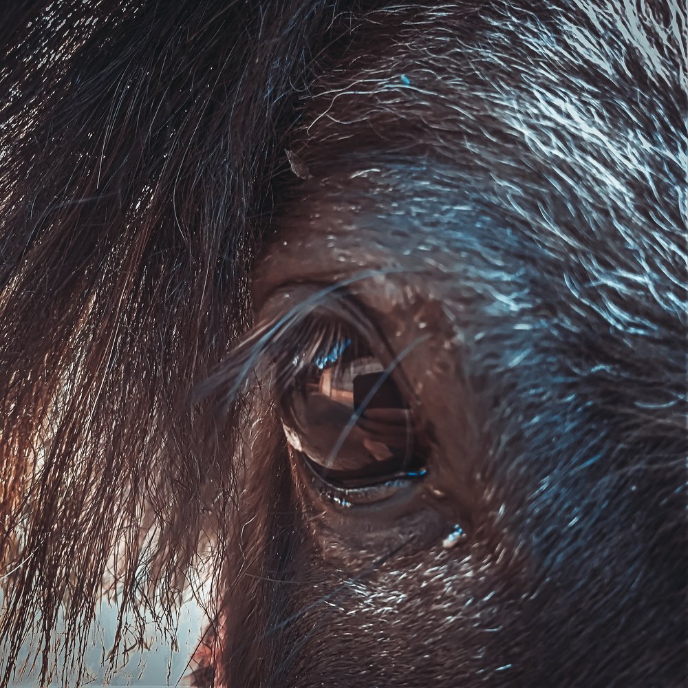 Photograph by Mikalai Stralchuk