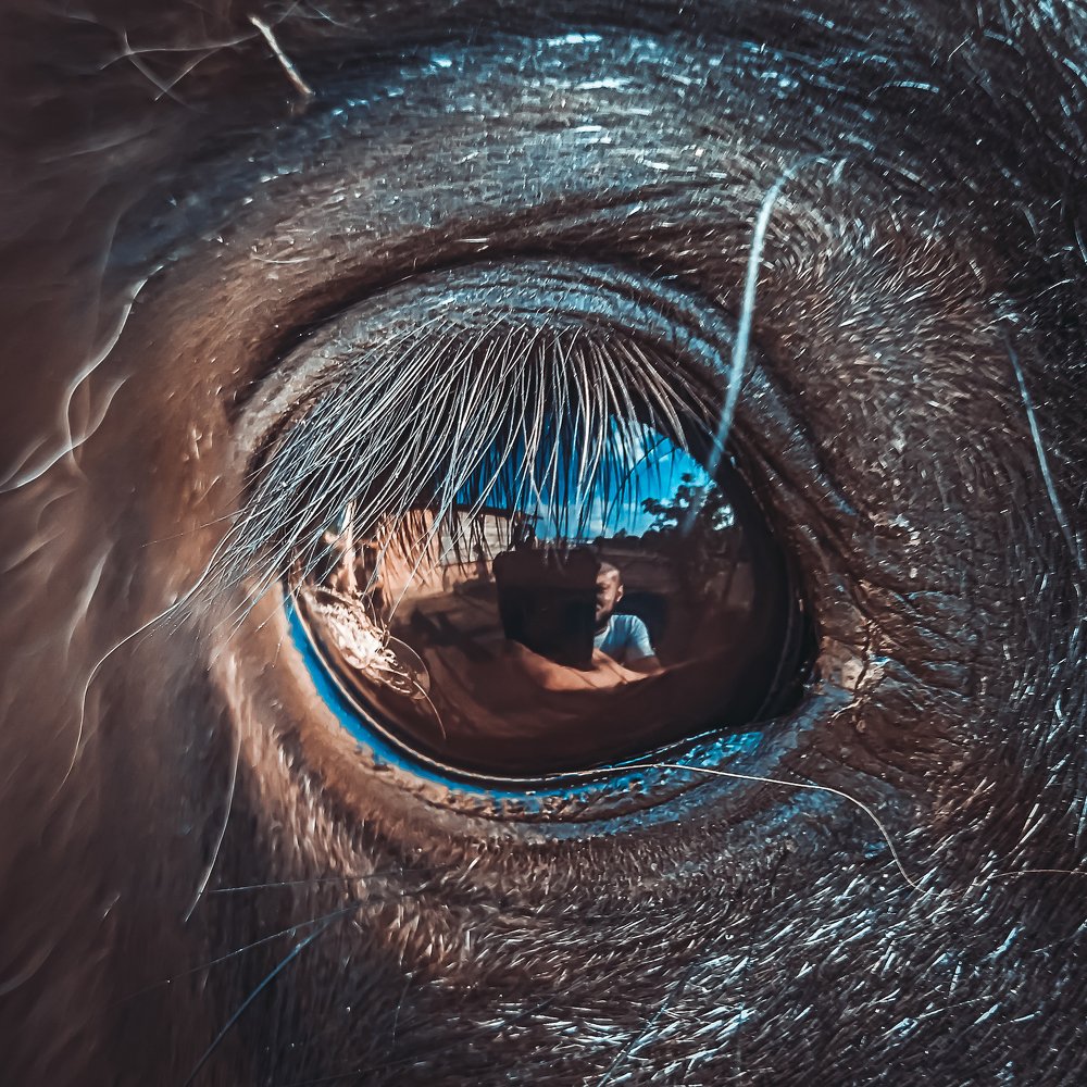 Photograph by Mikalai Stralchuk