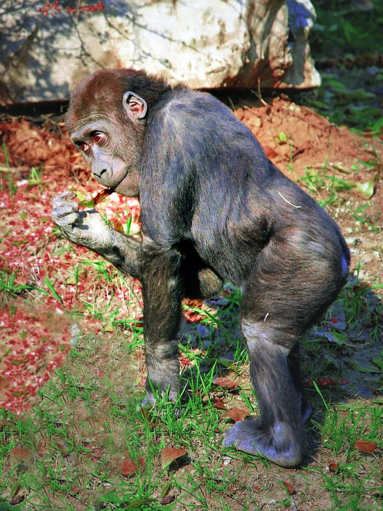 Photograph by Переслегин Александр