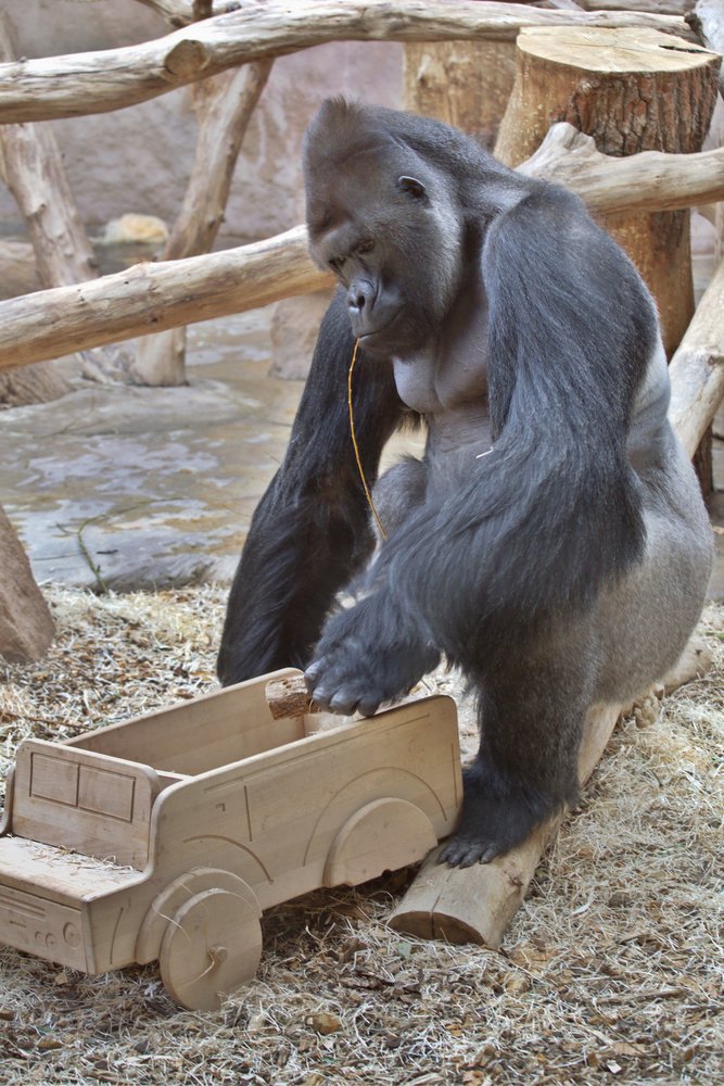 Photograph by Переслегин Александр