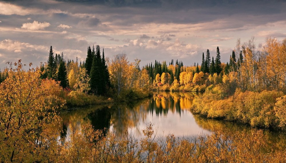 Photograph by Владимир Максименков