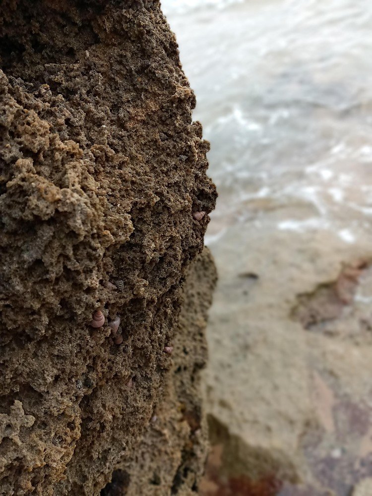 Photograph by Thembelihle Zuluboy