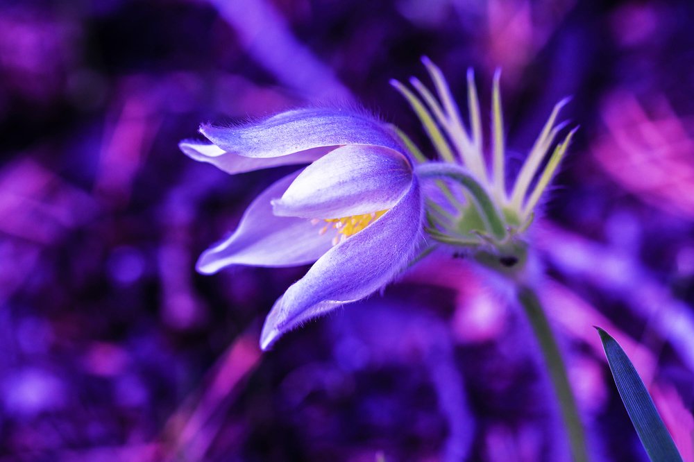 Photograph by Надежда Чернецкая