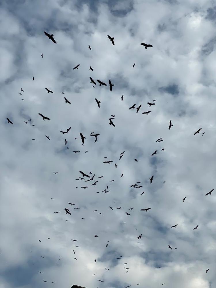 Photograph by Sarah George Sindhu