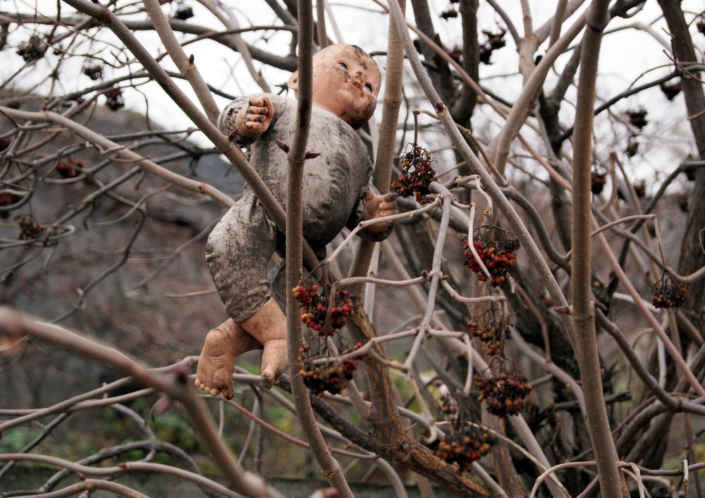 Photograph by Александр Лебедев