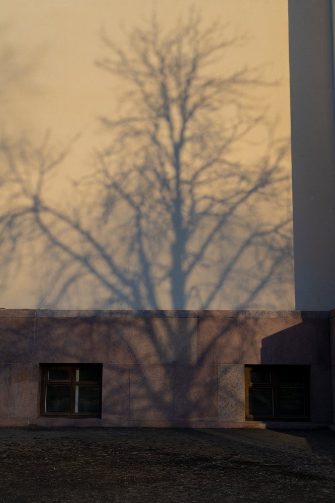 Photograph by Валерия Машкова