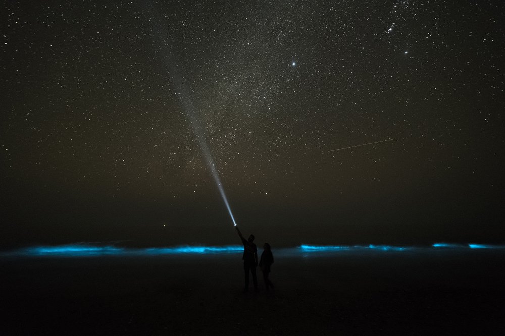 Photograph by hesamadin bagheri