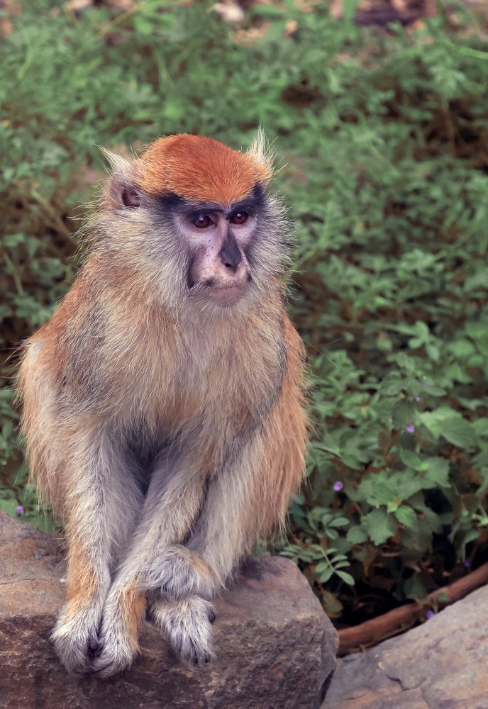 Photograph by Татьяна Зема