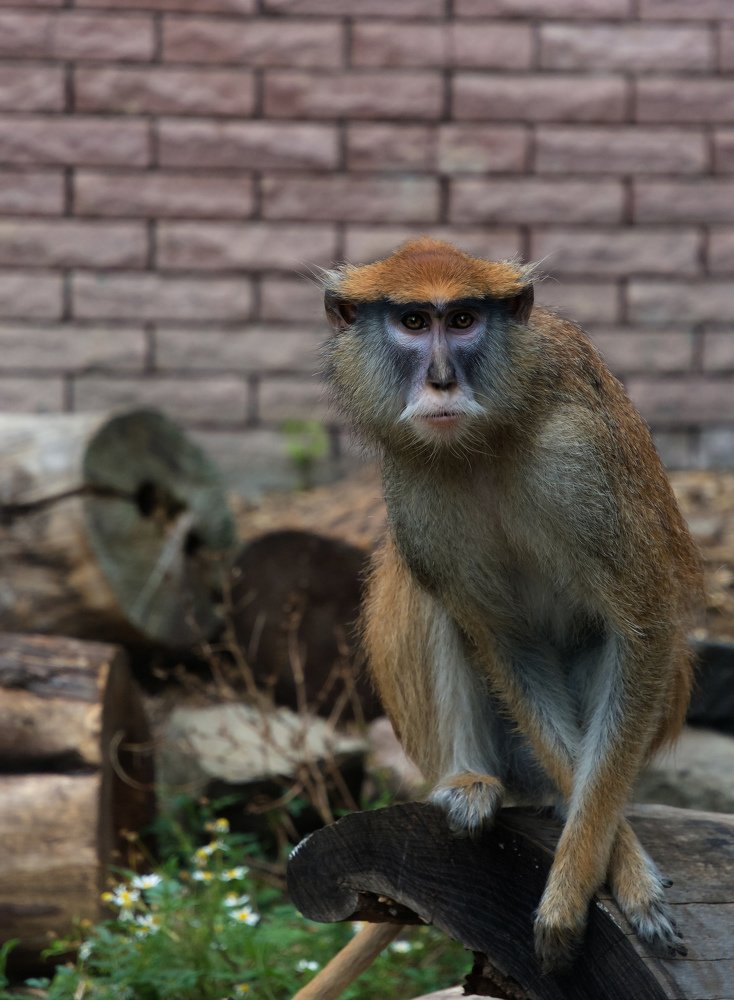 Photograph by Татьяна Зема