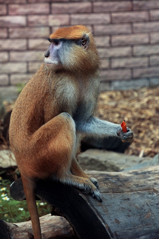 Photograph by Татьяна Зема