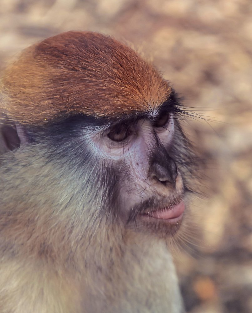 Photograph by Татьяна Зема