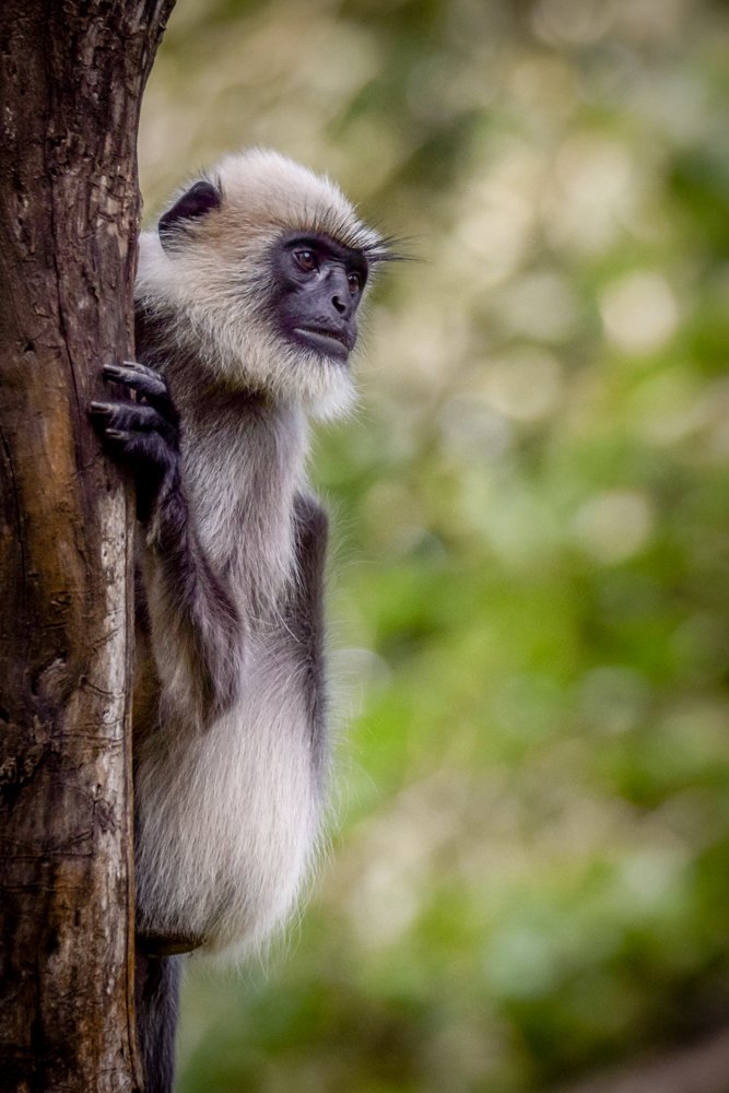 Photograph by Dinesh