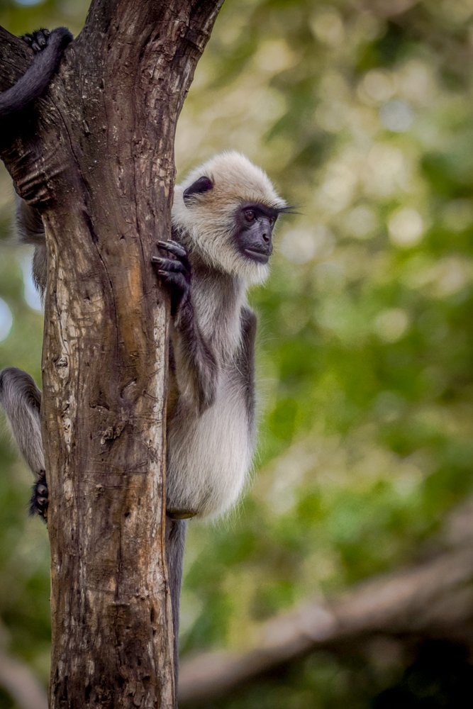 Photograph by Dinesh