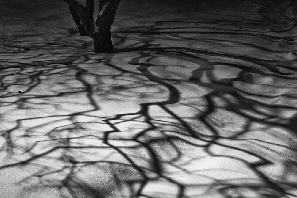 Photograph by Наталия Макарова