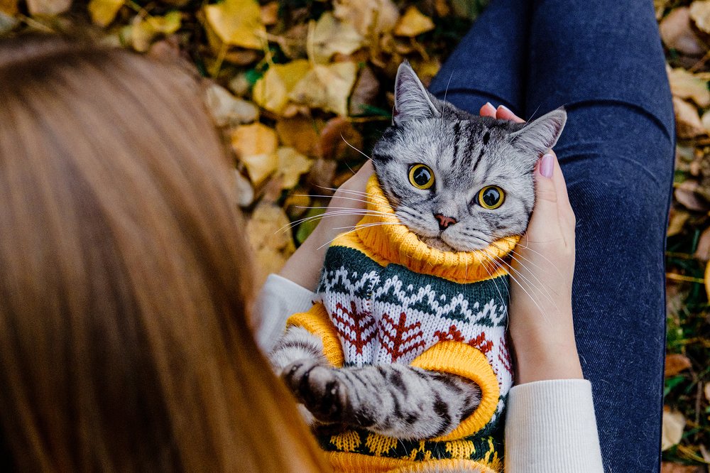 Фотография автора Валерия Сычёва