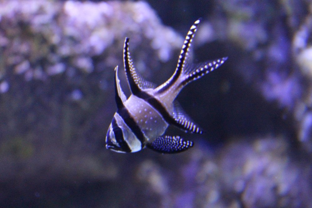 Photograph by ahmadreza souri