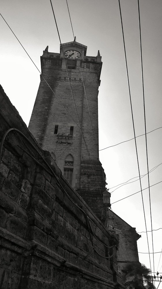 Photo #4119658