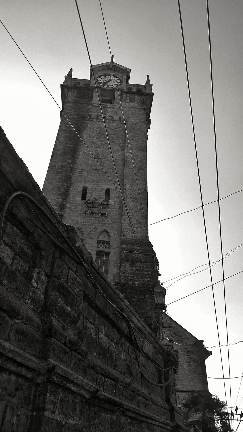 Photo #4119658