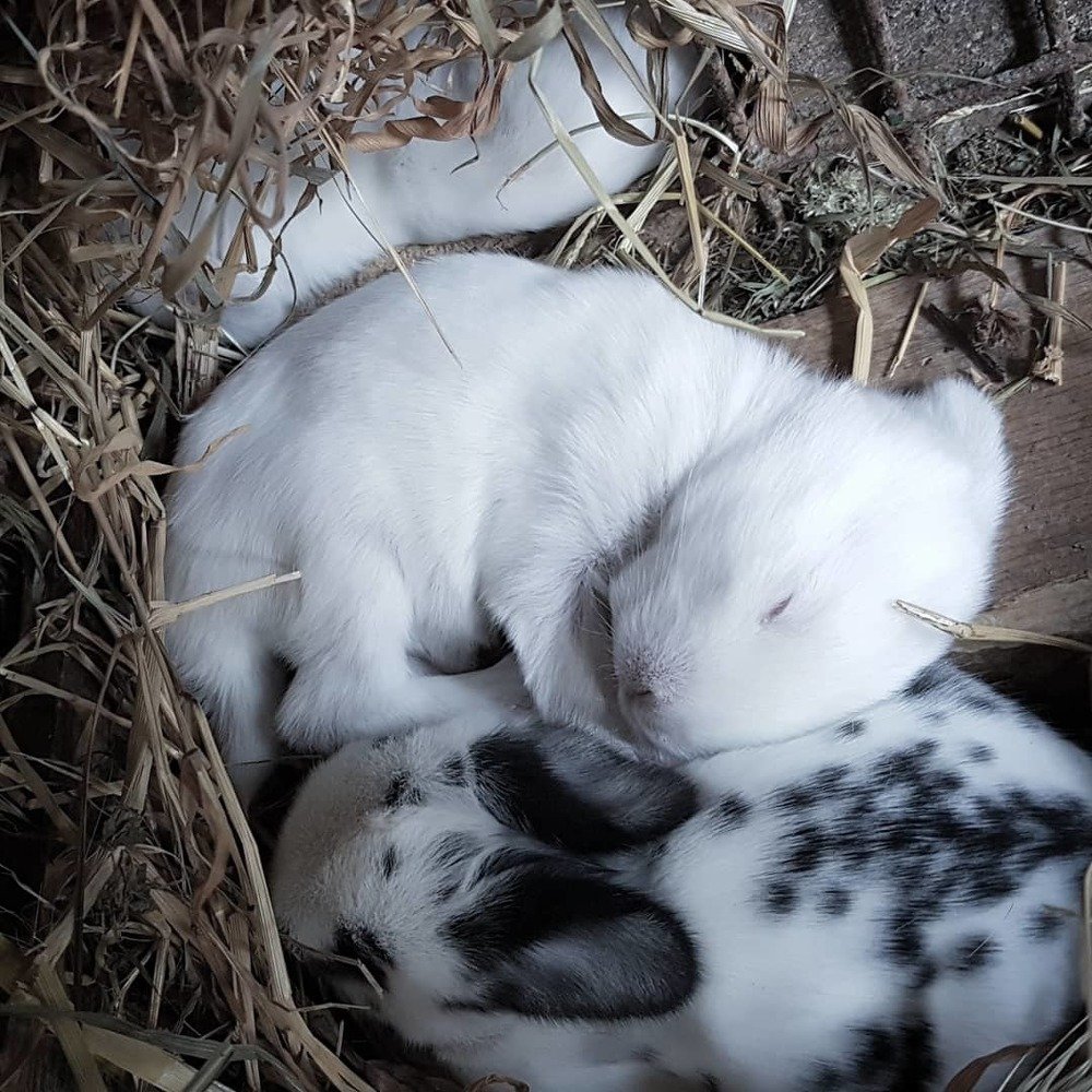 Photograph by Хачик Аджатян