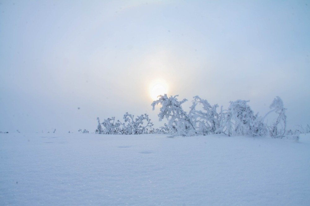 Photograph by Рафит Муллаянов