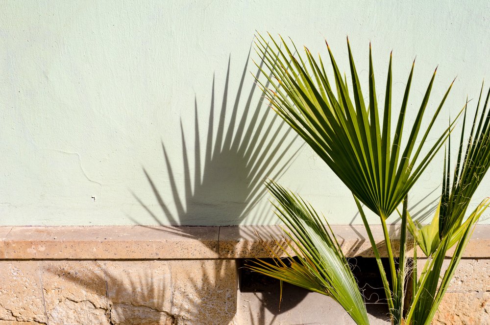 Фотография автора Zuzi Janek