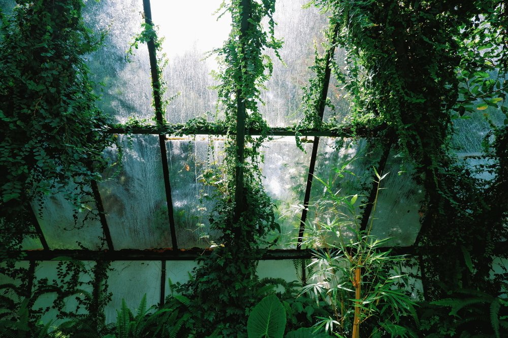 Фотография автора Zuzi Janek