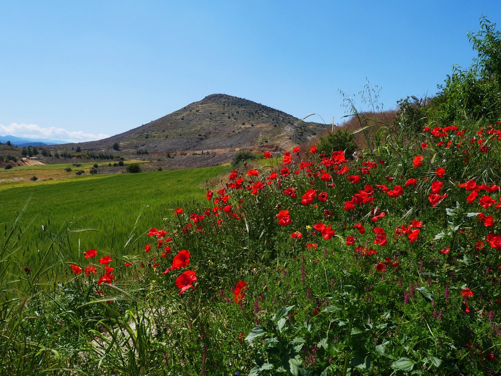 Photograph by Серафима Силина