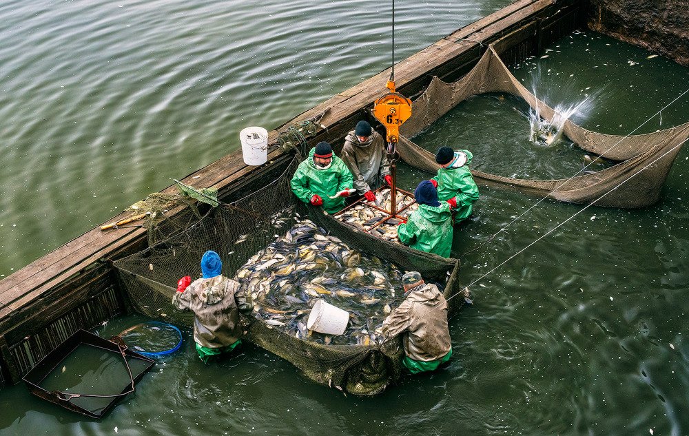 Photograph by Aeromast