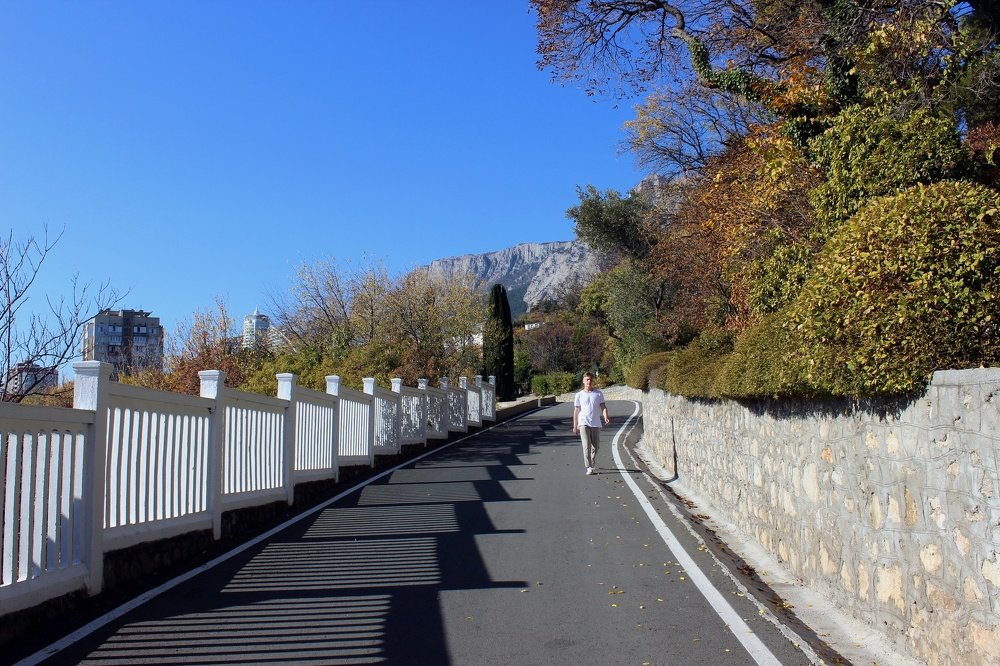 Дорога отражений